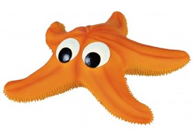 Морска ѕвезда полнета 23см